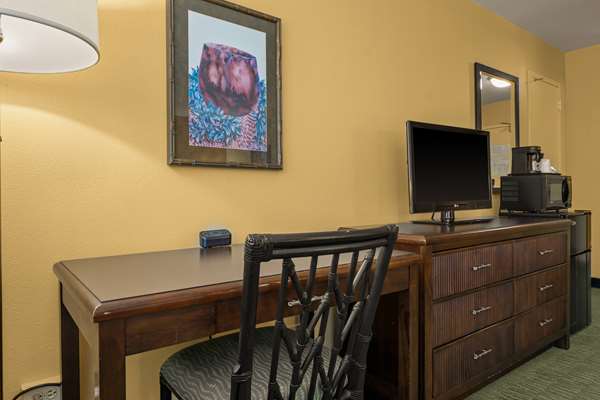 1 King Bed, Mobility/Hearing Accessible Room, Bathtub w/ Grab Bars, Non-Smoking