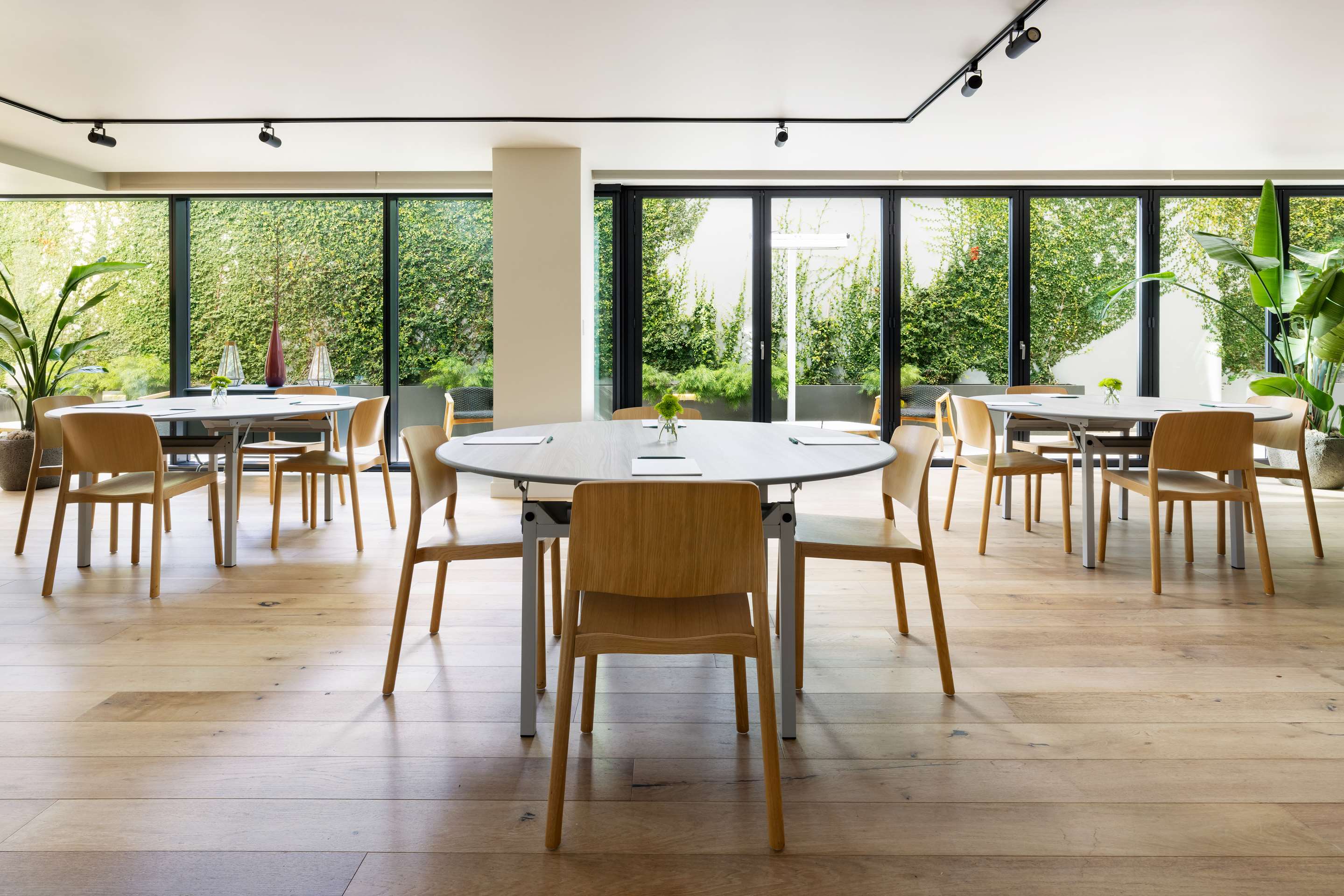 Meeting Room | Timbri Hotel San Francisco, Curio Collection by Hilton