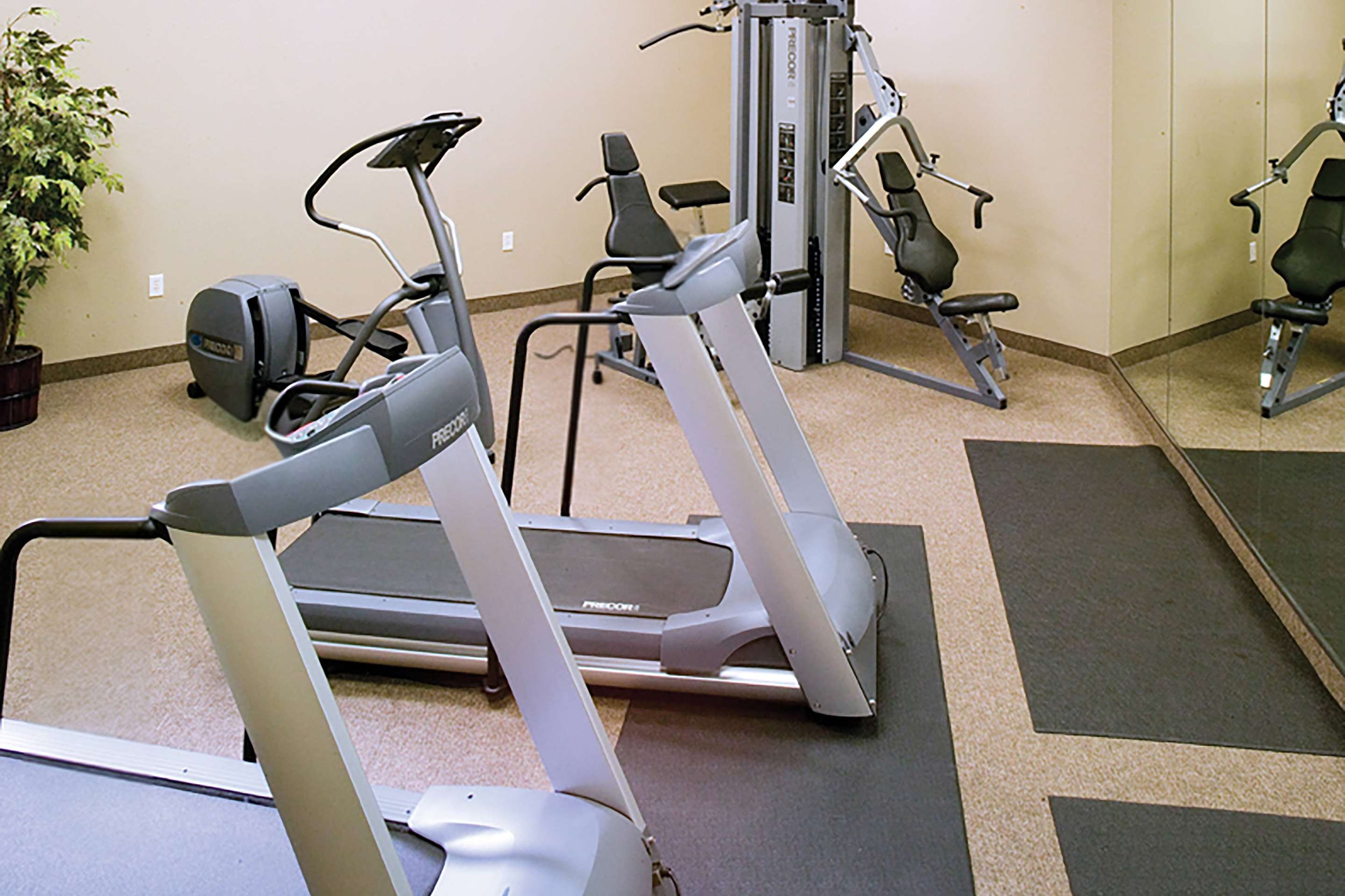Health club fitness center gym