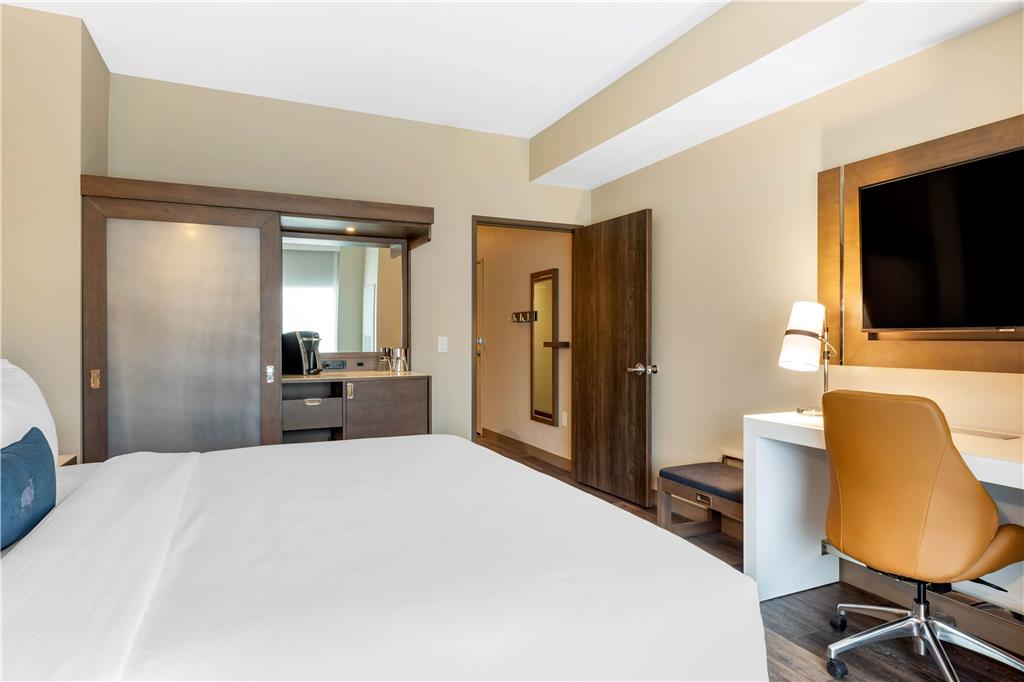 DOUBLETREE HLTN SUMMERVILLE NEXTON-guestroom-Guest Room,On-Site.jpg