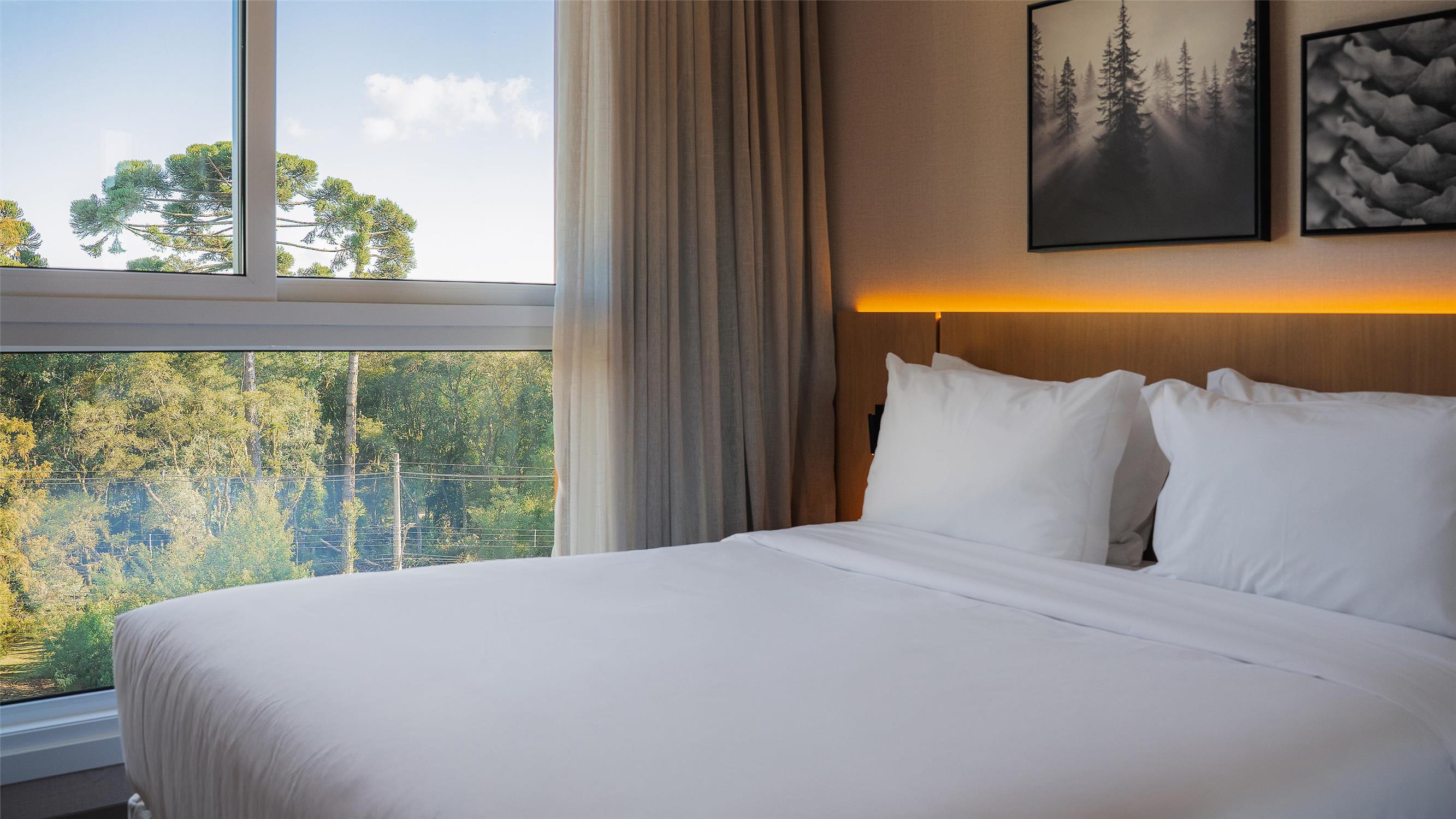 HOTEL GOLDEN TULIP CANELA - null