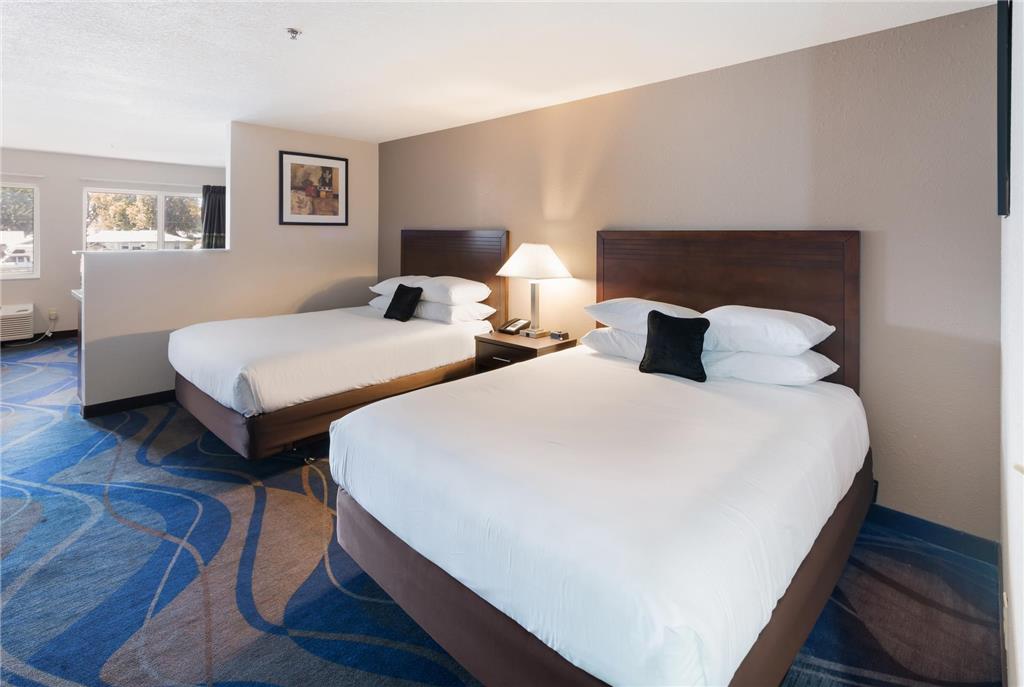 QUALITY INN & SUITES KENNEWICK TRI--guestroom-Guest Room,Suite,On-Site.jpg
