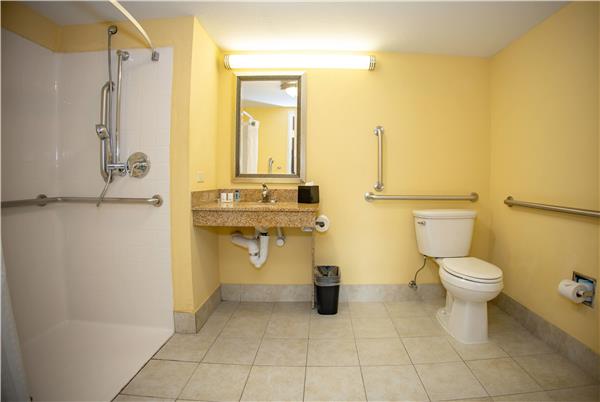 Guest Room,Bathroom,Shower,Accessibility,On-Site
