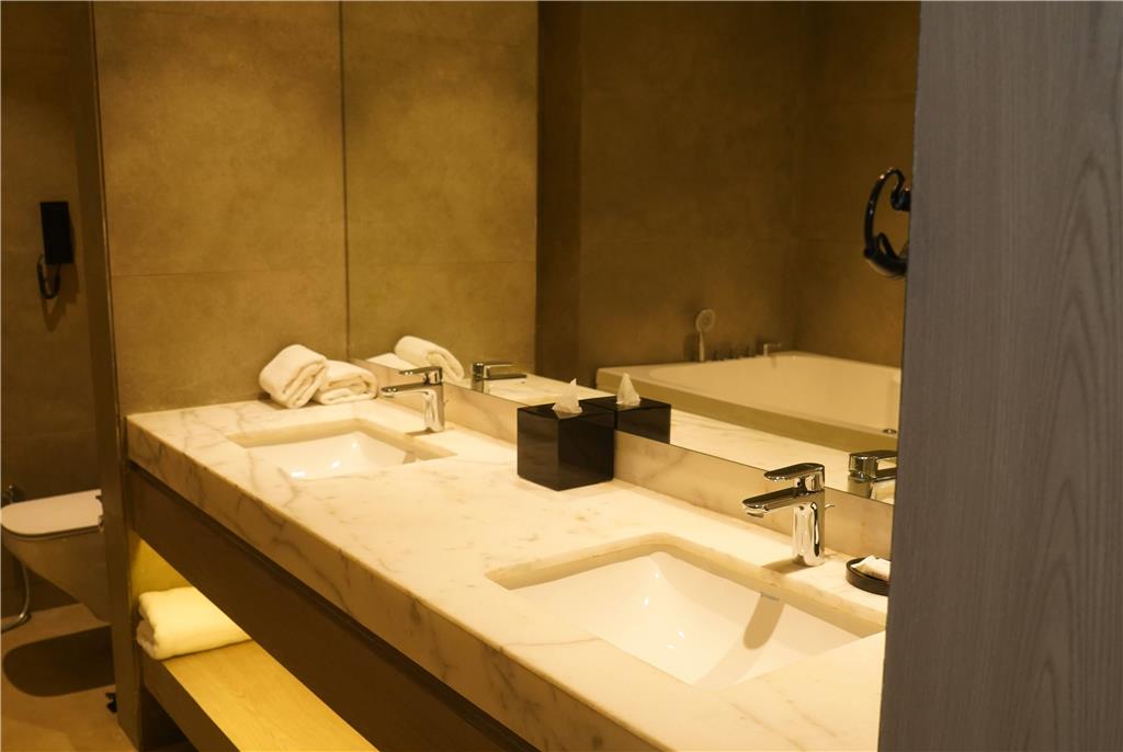 RAMADA ENCORE BY WYNDHAM CHANDIGARH-guestroom-Guest Room,Bathroom,On-Site.jpg