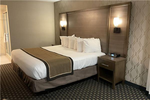 1 King Bed, Deluxe Room, Non-Smoking