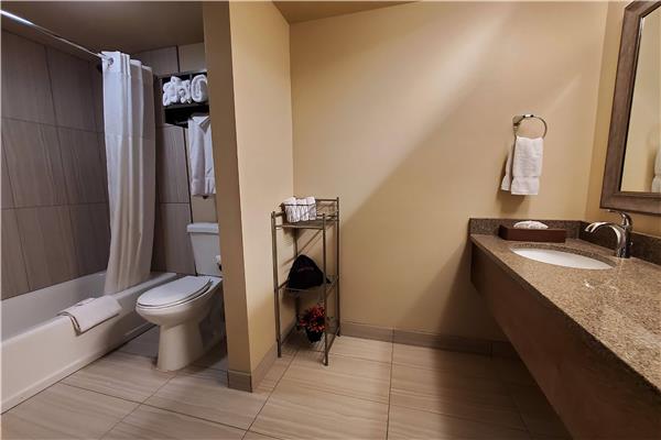 1 King Bed, Premier Suite, Non-Smoking