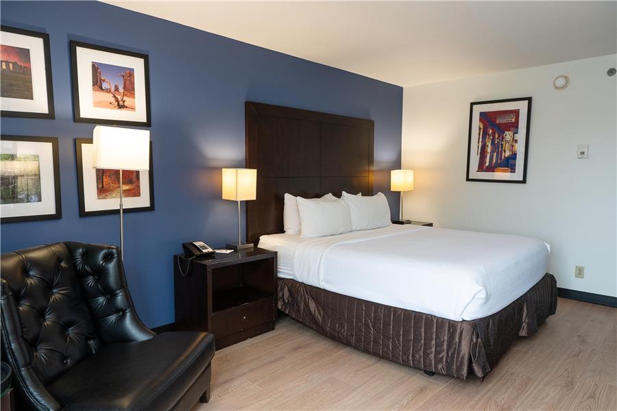 Guest Room,On-Site