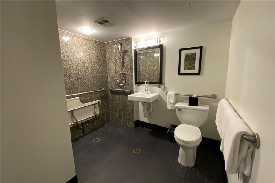 Guest Room,Bathroom,Shower,Accessibility,On-Site