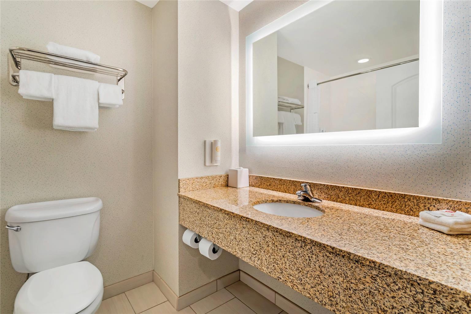 COMFORT INN DAYTON SOUTH-guestroom-Guest Room,Bathroom,On-Site.jpg