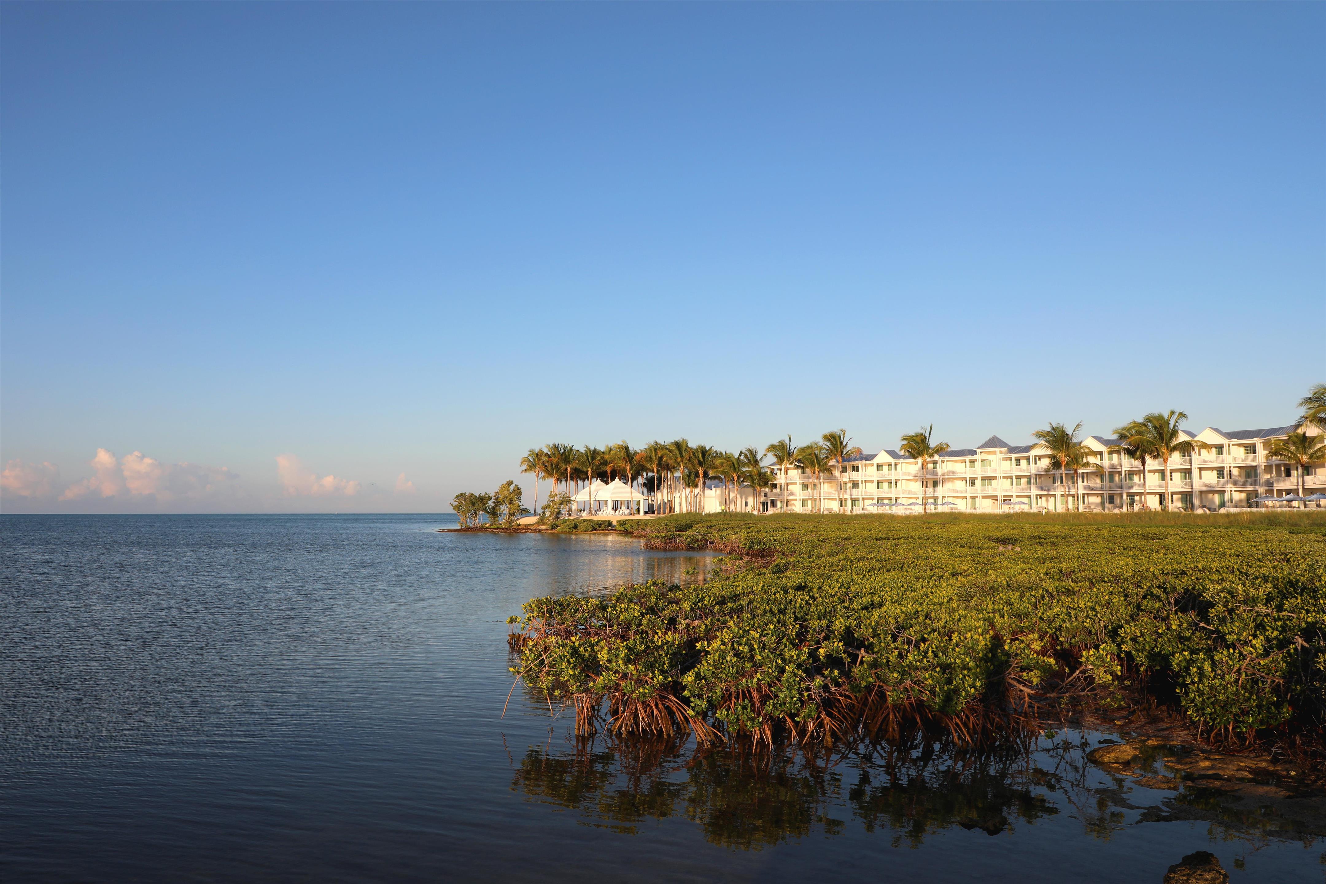 Exterior Mangroves