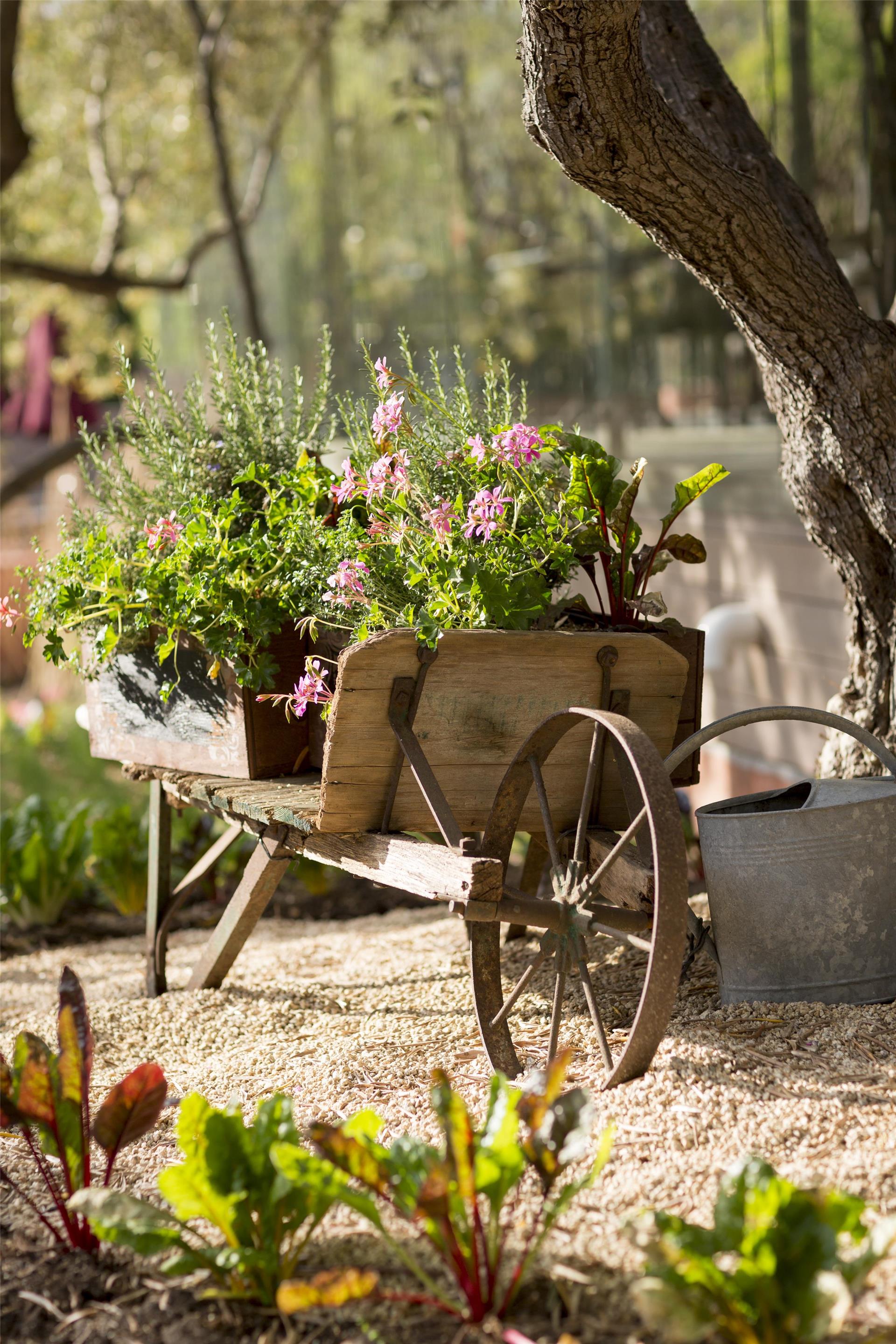 Herbs | Bernardus Lodge & Spa