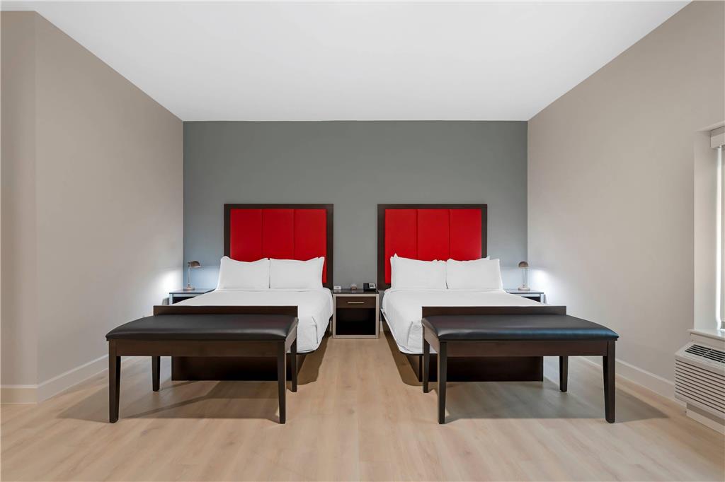 THE J HOTEL DUNEDIN CLEARWATER AN A-guestroom-Guest Room,On-Site.jpg