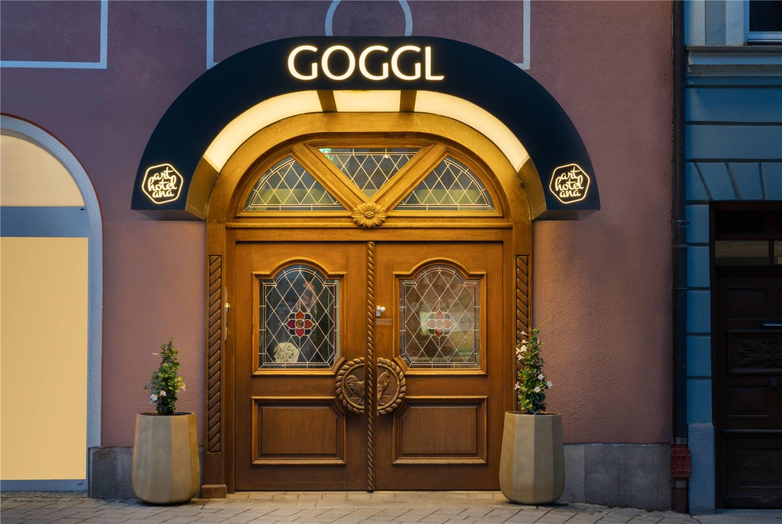 ANA Goggl