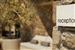 Collini Hotel Mykonos, WorldHotels Elite