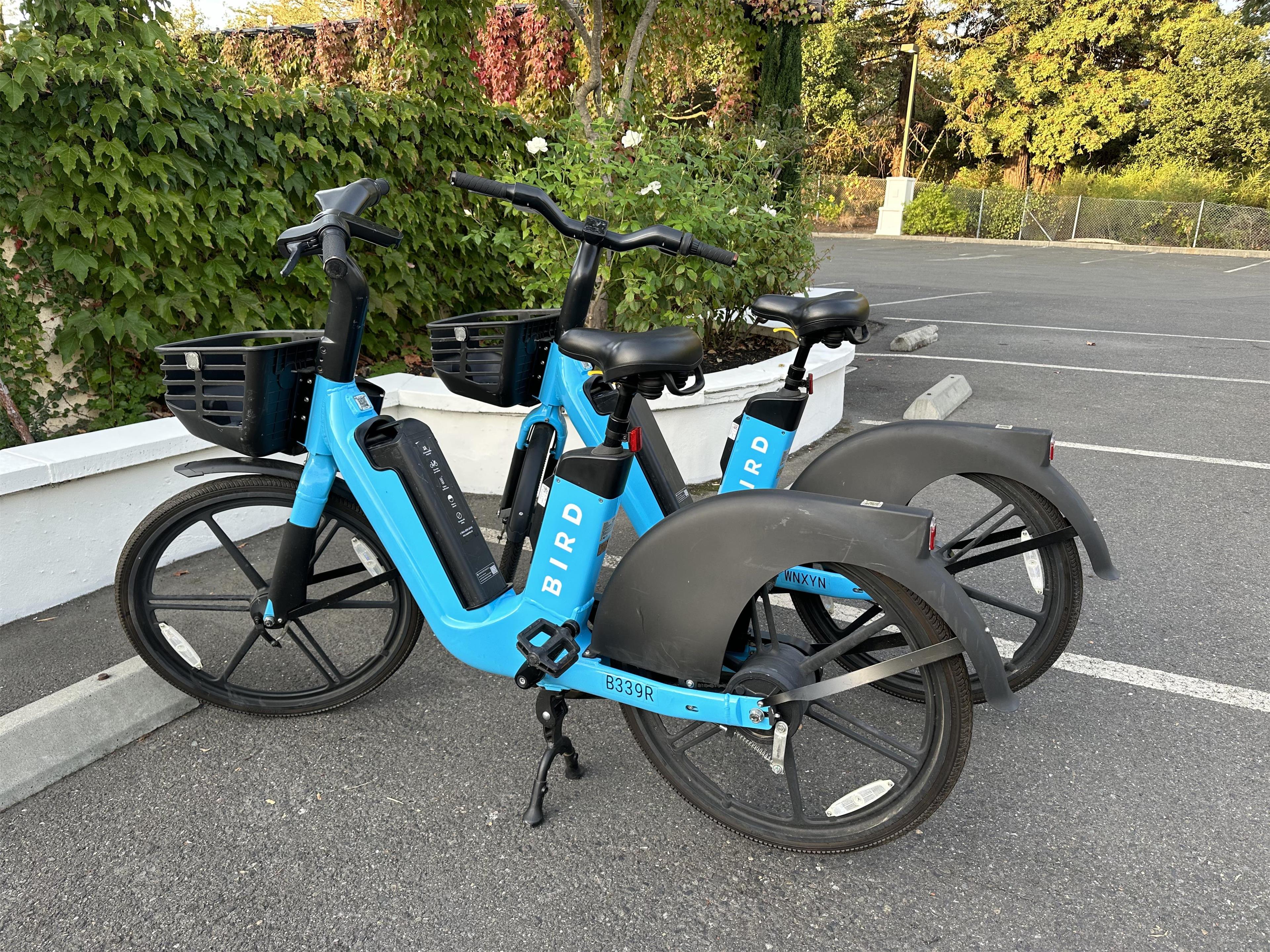 Dry Creek Mod Bike Rental