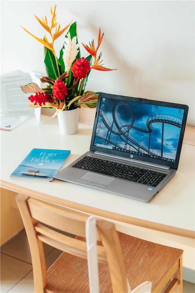 CIS MARTINIQUE-guestroom-Guest Room,On-Site.jpg