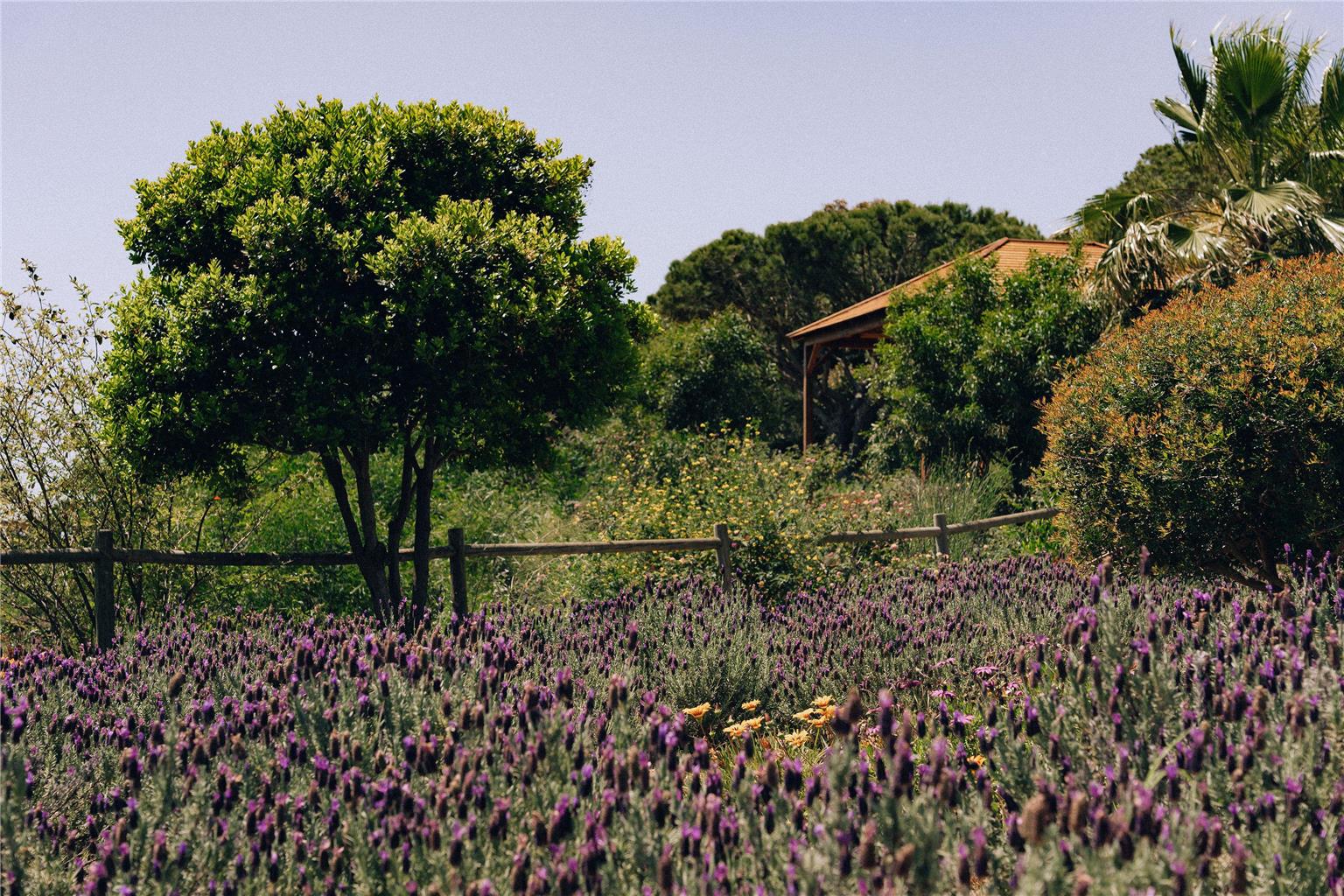 Masana Algarve, a Destination by Hyatt in Portugal