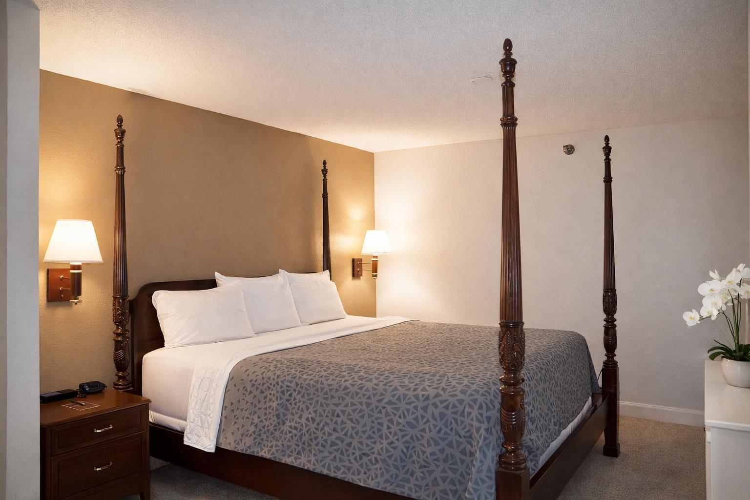 Accessible King Bed image