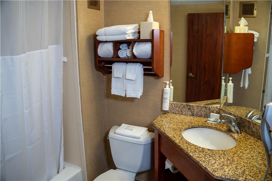 Guest Room,Bathroom,On-Site