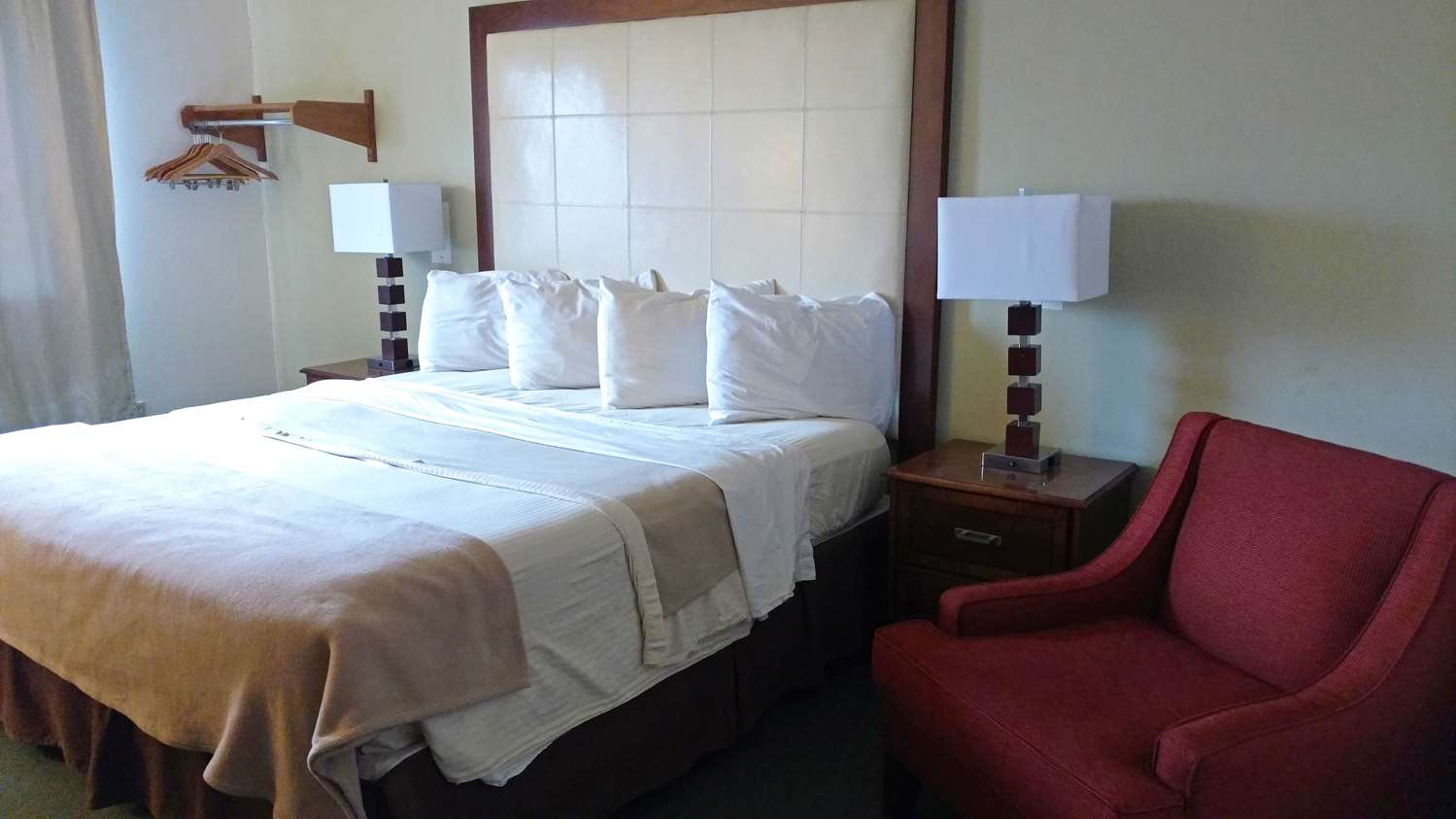 1 King Bed Non-Smoking image