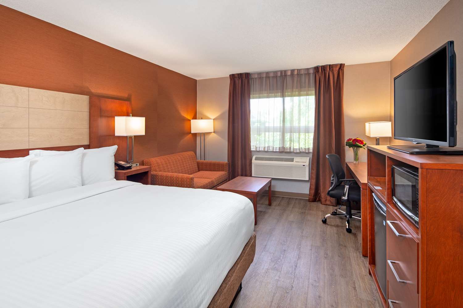 1 King Bed Non-Smoking image