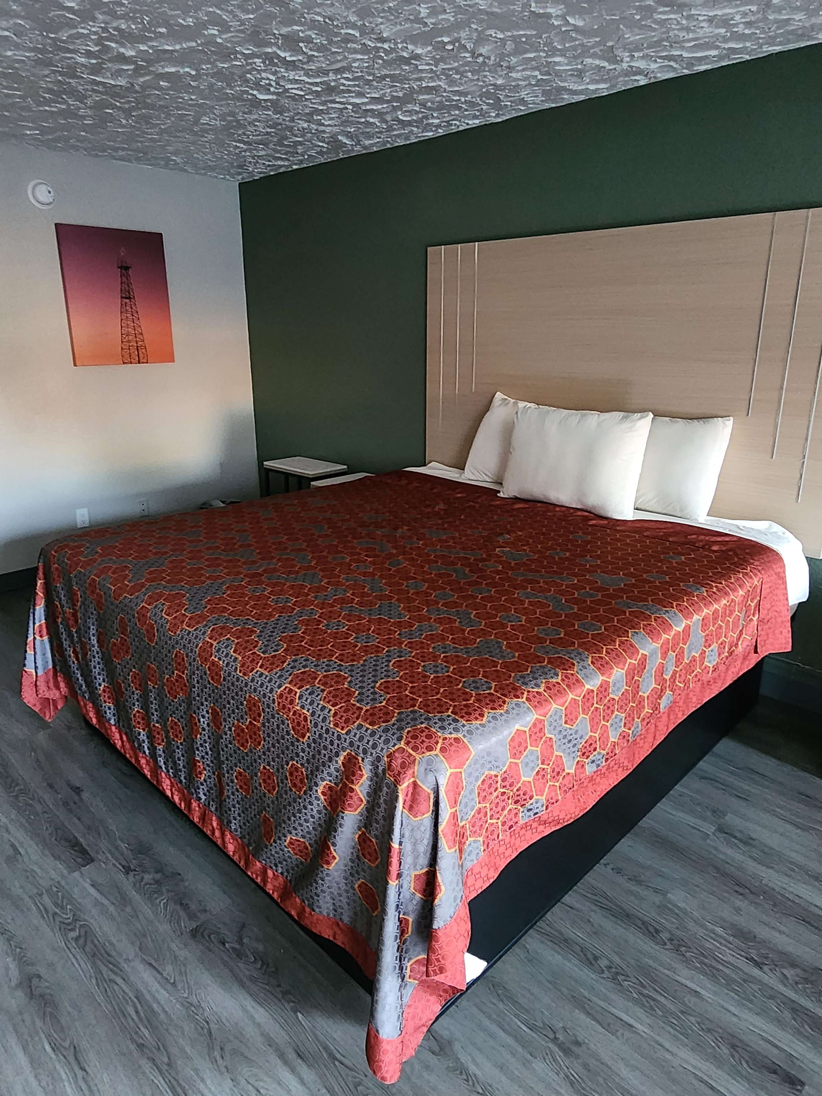 1 King Bed Non-Smoking image