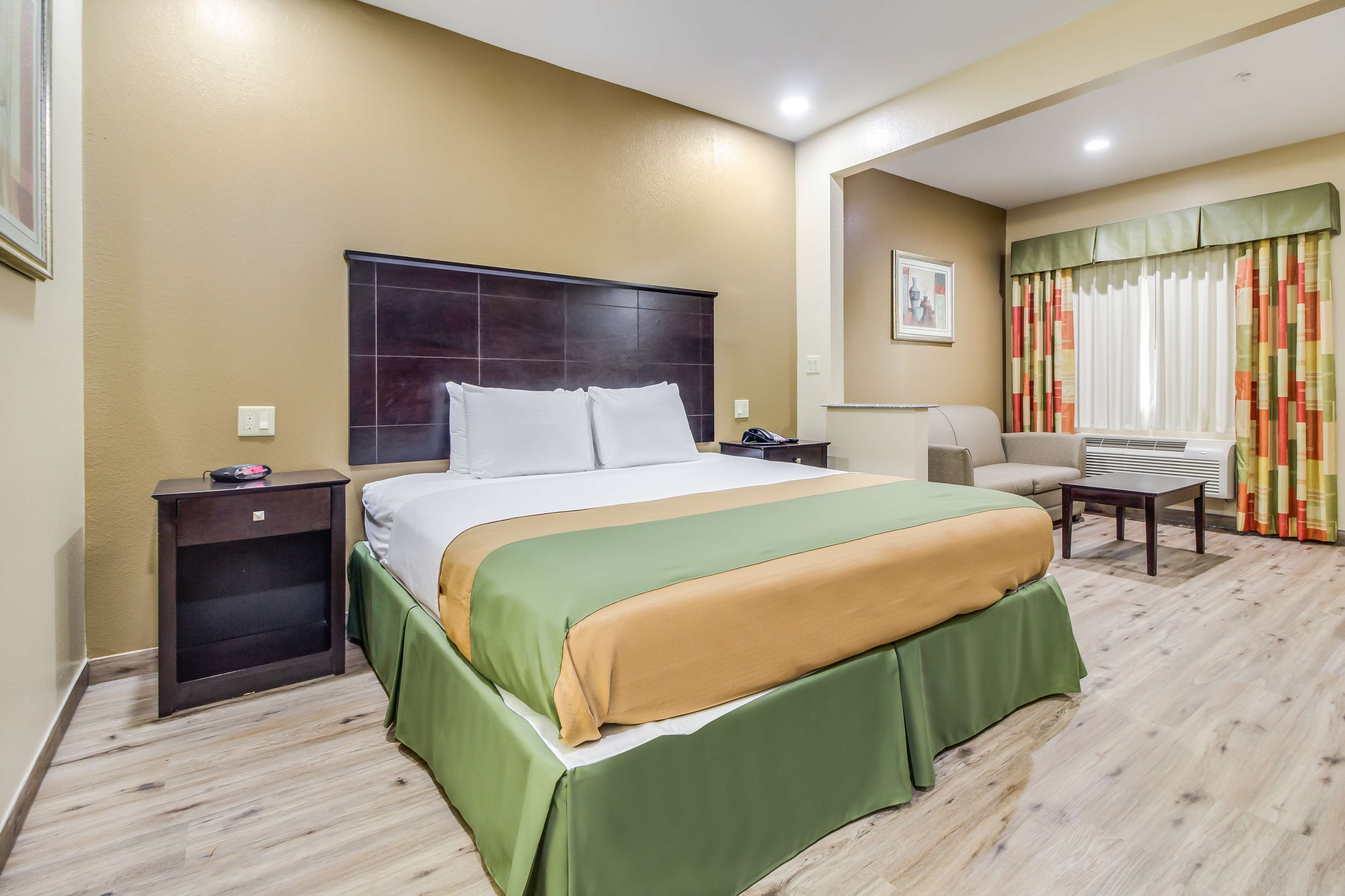 1 King Bed Non-Smoking image