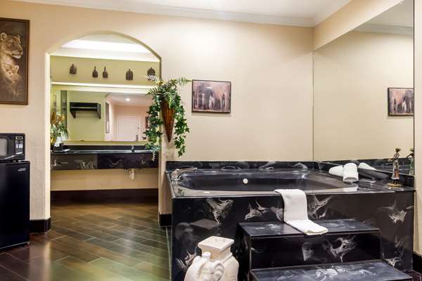  - Americas Best Value Inn & Suites Platinum Houston - I-45, Exit 59