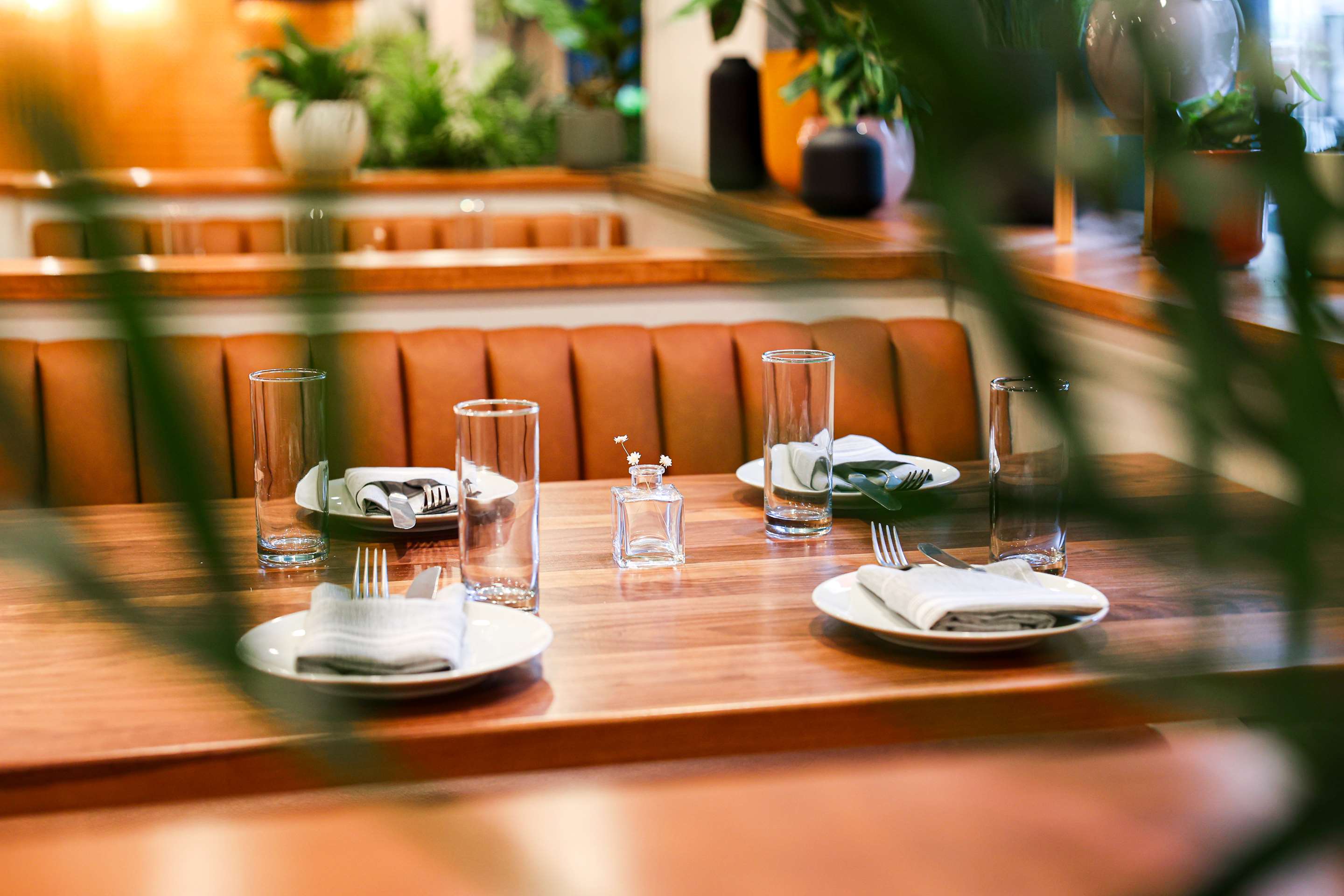 Take Care Restaurant | The Shelburne Sonesta New York