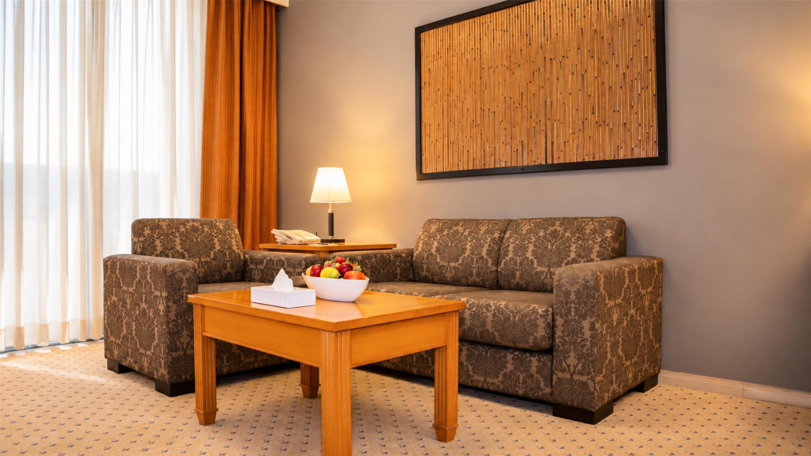 Executive One Bedroom Apartment Living Room