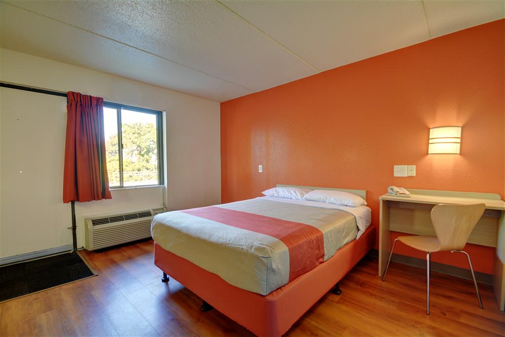 MOTEL 6 SPRINGFIELD-CHICOPEE-guestroom-Guest Room,Bed,Queen bed,Guest Room Amenity,Indoor/Interior,On-Site,Furnishings,Single Room.jpg