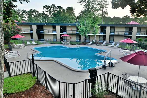 Pool - Ramada Inn Mandarin Jacksonville - I-295, Exit 5