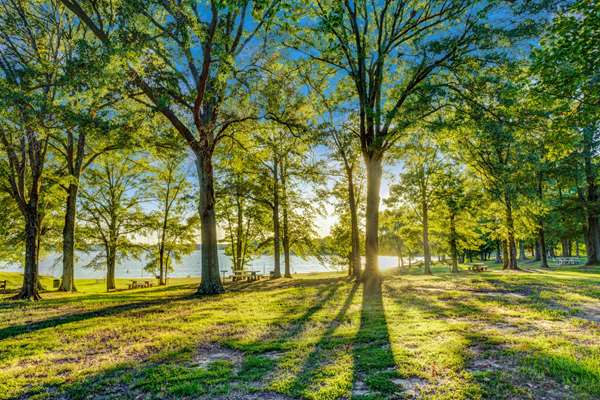 Exterior view - Days Inn Hernando - I-55, Exit 280