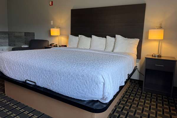 1 King Bed, Mobility Accessible Studio Suite, Roll-In Shower, Non-Smoking