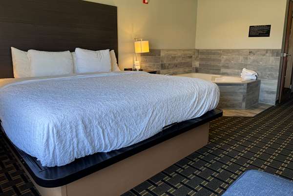 1 King Bed, Mobility Accessible Studio Suite, Roll-In Shower, Non-Smoking