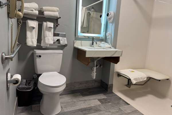 1 King Bed, Mobility Accessible Studio Suite, Roll-In Shower, Non-Smoking