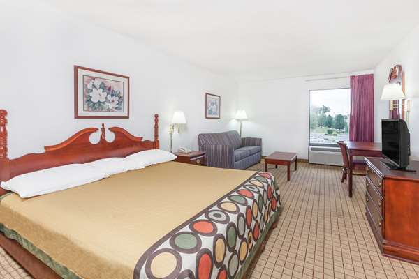 Suite - Super 8 Motel Conway - I-40, Exit 125