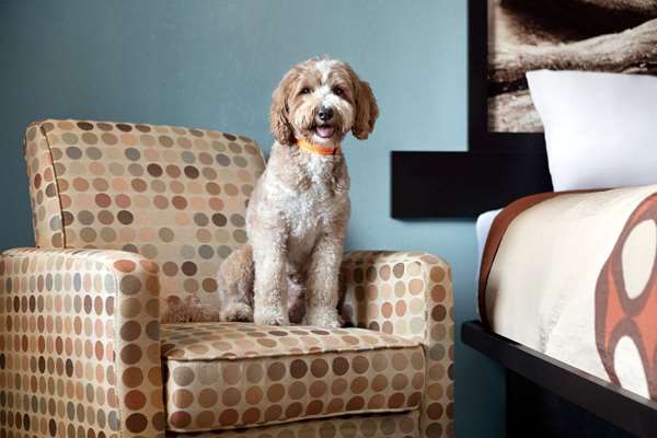  - Super 8 Motel Whites Creek - I-24, Exit 40