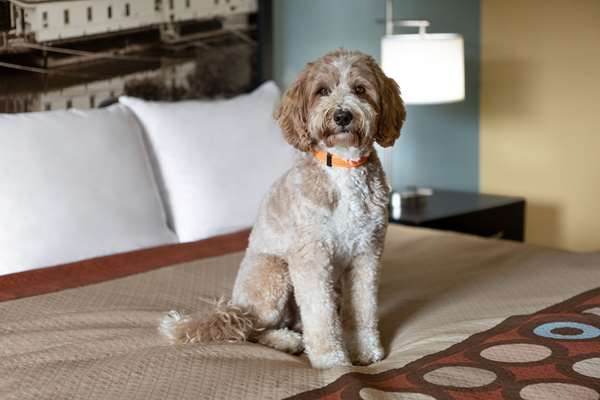  - Super 8 Motel Whites Creek - I-24, Exit 40