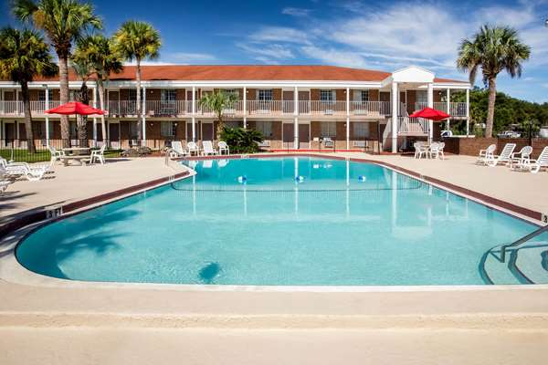 Pool - Super 8 Motel Lake City - I-75, Exit 423