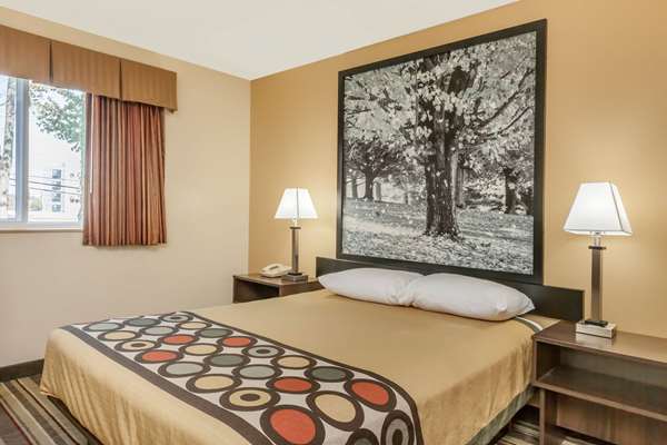  - Super 8 Motel Latham - I-87, Exit 6