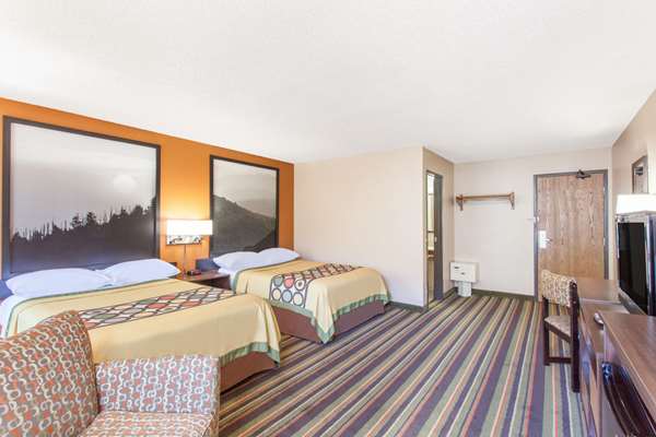 Guest Room,On-Site