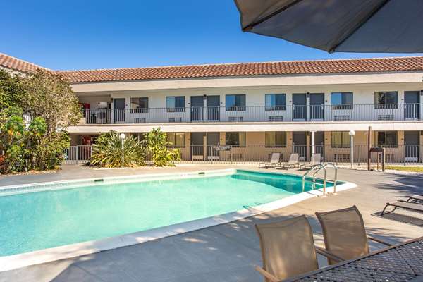 Pool - Super 8 Motel Naples - I-75, Exit 101