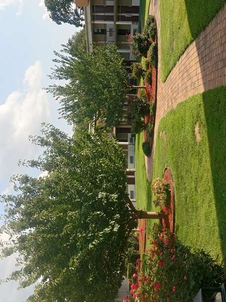 Exterior view - Super 8 Motel Dover