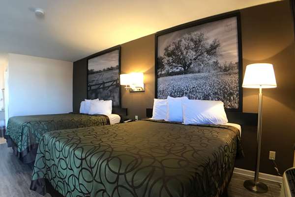  - Super 8 Motel Terrell - I-20, Exit 501