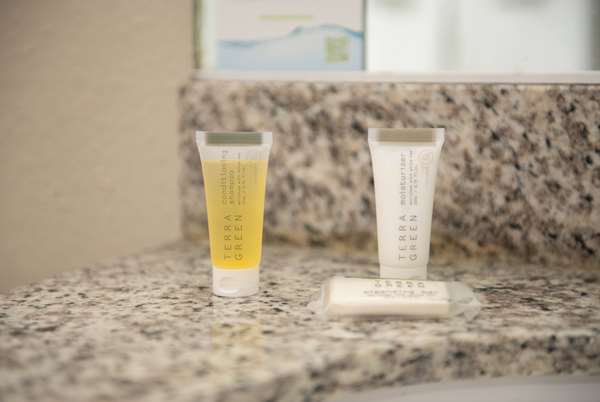  - Days Inn Waynesboro - I-64, Exit 94