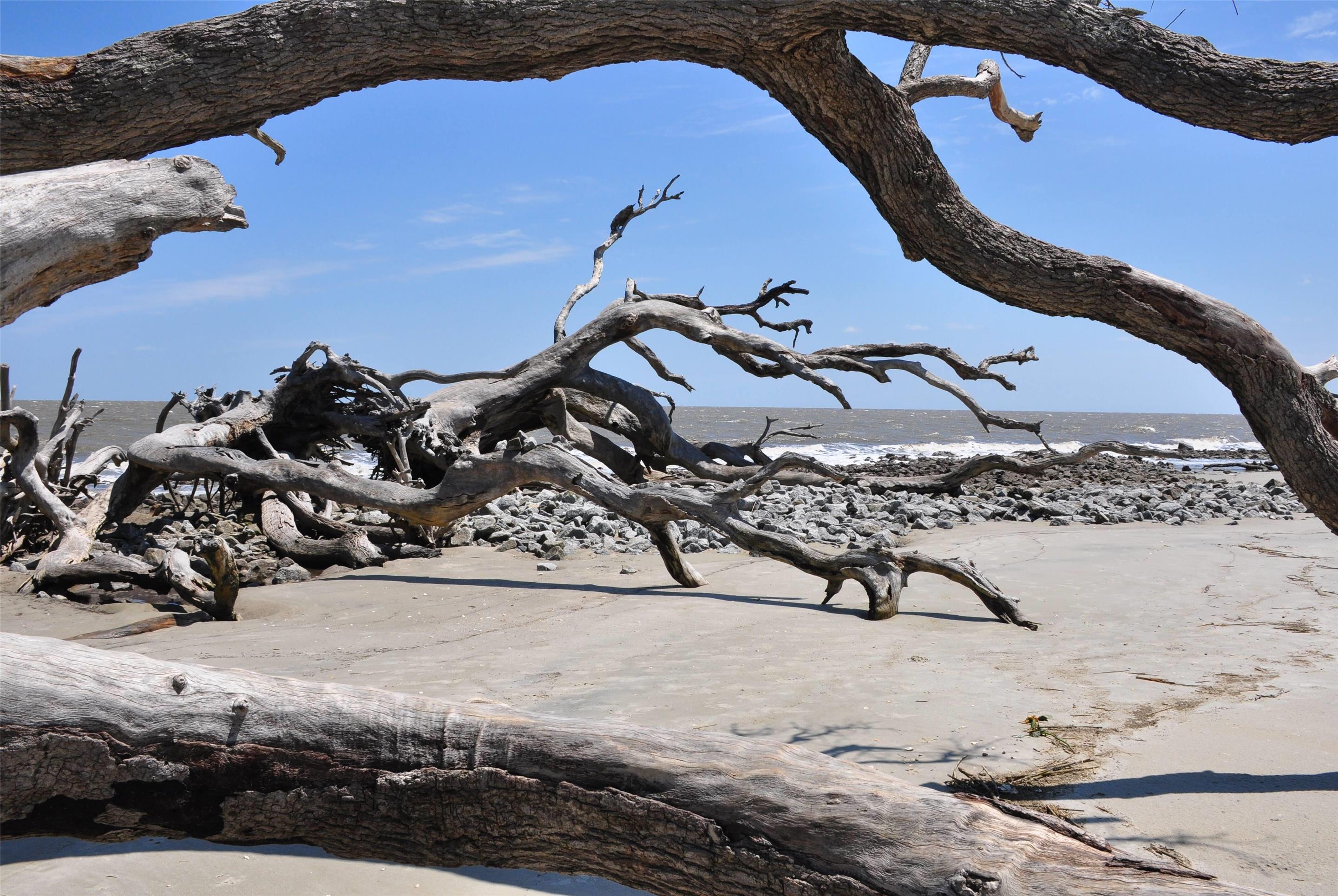 Property amenity | Days Inn & Suites by Wyndham Jekyll Island
