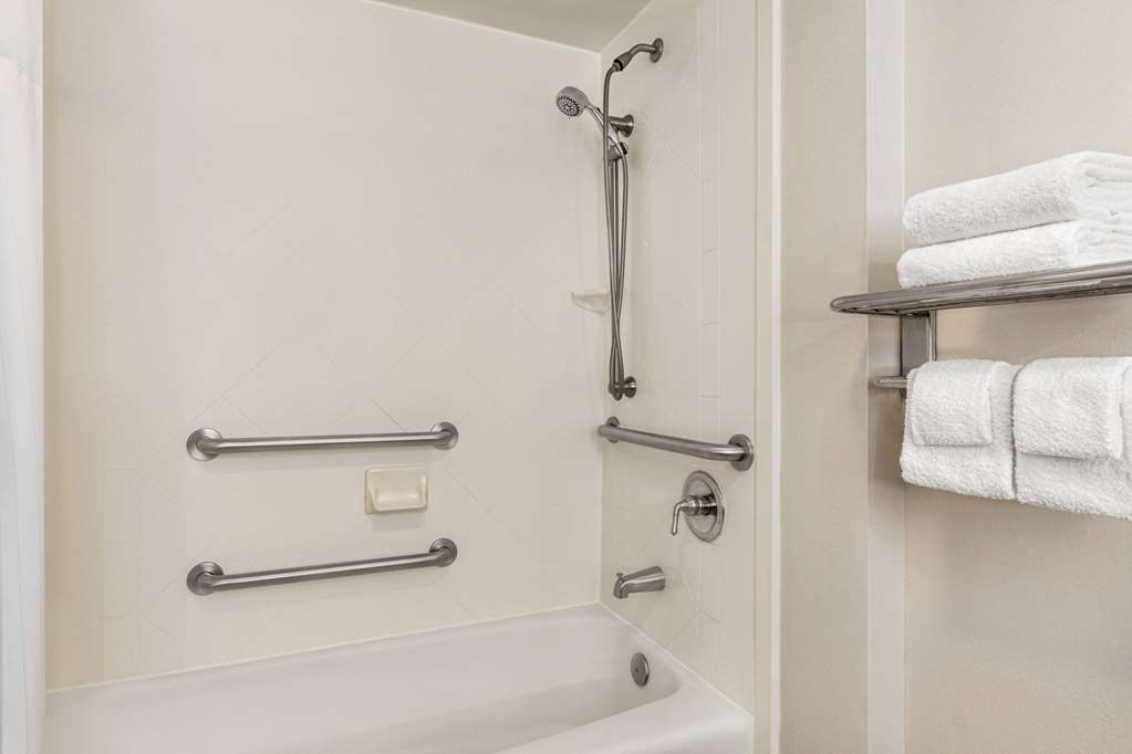 WYNDHAM GARDEN DULUTH-guestroom-Guest Room,Bathroom,Shower,Accessibility,On-Site.jpg
