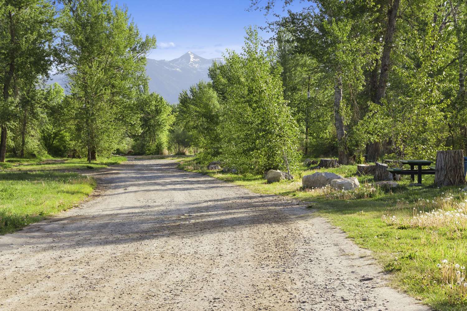 Super 8 Motel Salmon, ID See Discounts