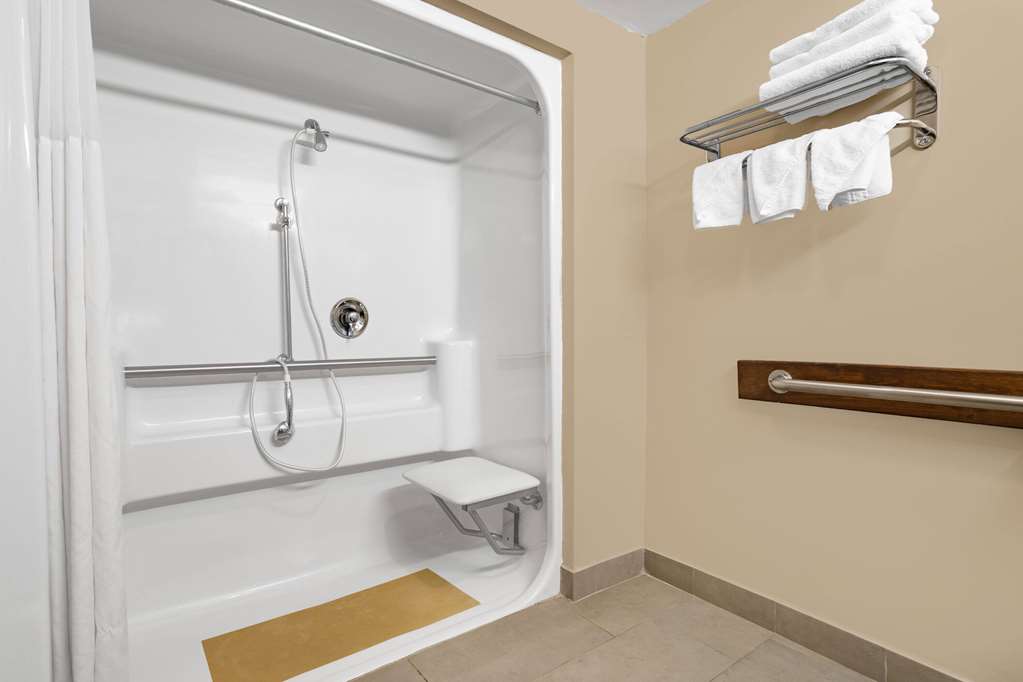 RAMADA BY WYNDHAM HENDERSONVILLE-guestroom-Guest Room,Bathroom,Shower,Accessibility,On-Site.jpg